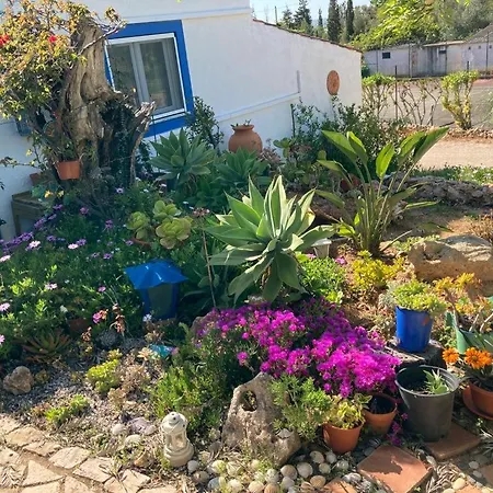 Βίλα Casa Aleg *